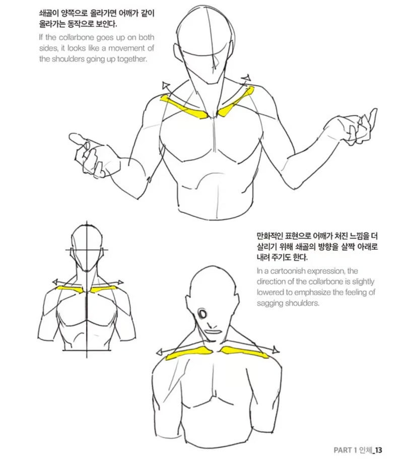 Secret Character Drawing + Point Character Drawing Set | Korean with English(📚HARDCOVER BOOK)