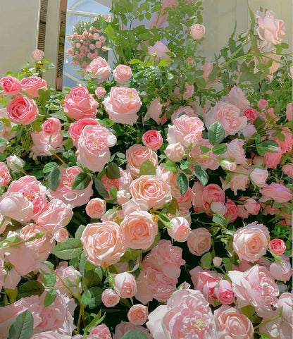 🌺Climbing Rose Seeds