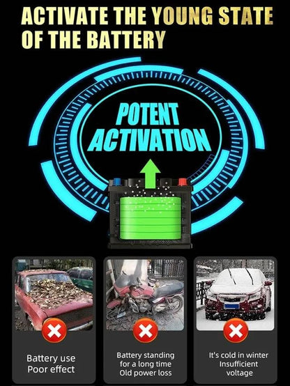 E-FAST Automotive Battery Charger