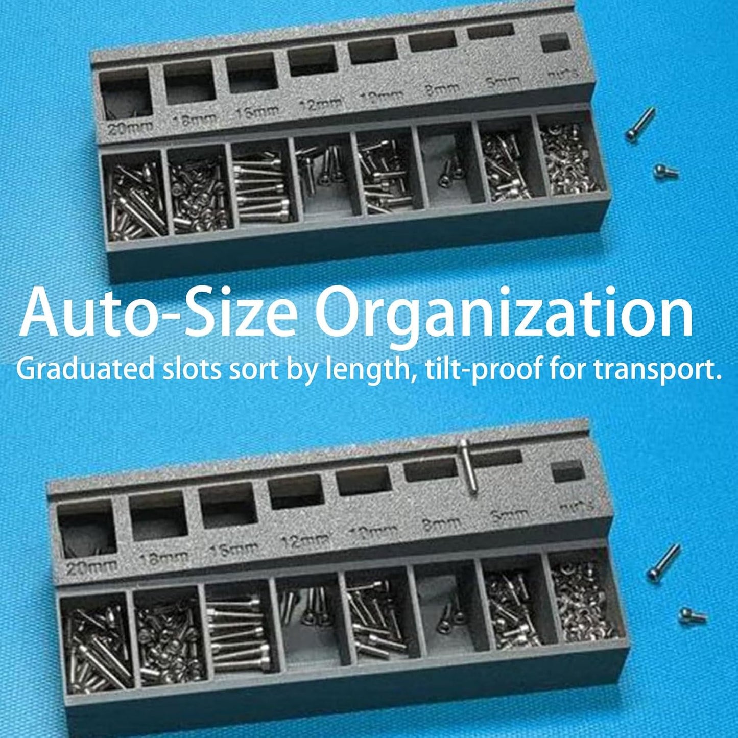 M3 Compact Screw & Bolt Organizer Tray